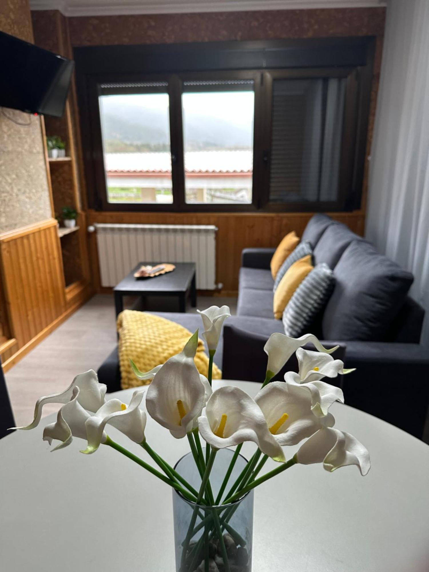 Appartement El Camino à Laza Extérieur photo
